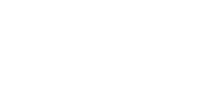 Dorset council logo